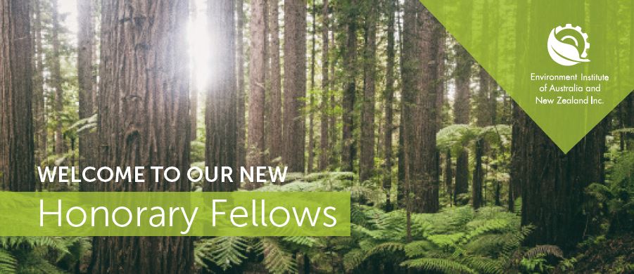 Welcoming our new Honorary Fellows